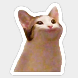 Cat meme Sticker